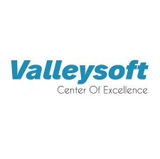 Valleysoft Logo