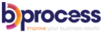 B-Process (Business & Process Improvement Institute SC)