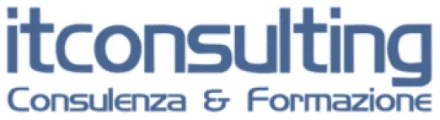 IT Consulting SRL